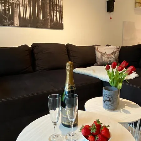Apartment Feldberg Kuschelnest - Residenz Grafenmatt Feldberg (Baden-Wurttemberg)